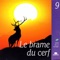 Grand cerf arpentant son territoire - Nature Sounds lyrics