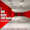 Stream & download I Will Never Love Again (Dub Mix) [feat. ZOidiva]