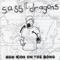 Danny Vapid Has Powers - Sass Dragons lyrics