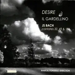 Bach: Desire - Cantates 32, 49 & 154 by Caroline Weynants, Patrick van Goethem, Marcus Ullmann, Lieven Termont, Il Gardellino & Marcel Ponseele album reviews, ratings, credits