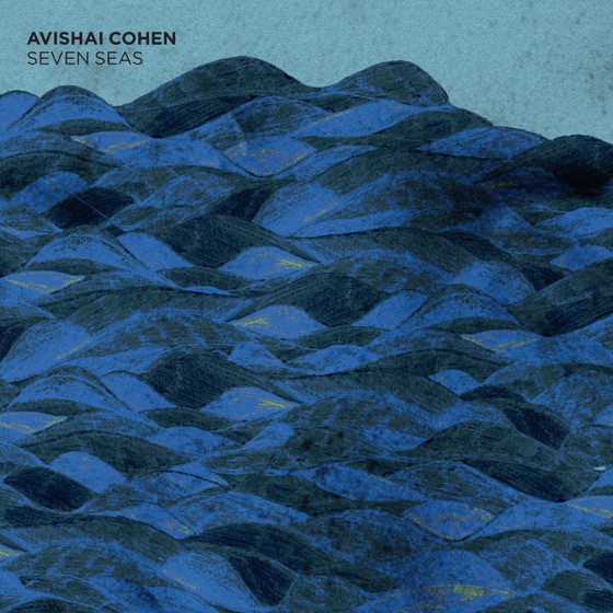 Cover artwork for Ani Aff