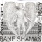Feel - Bane Shaman lyrics