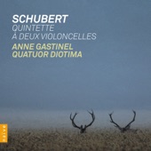 Schubert: Quintette à deux violoncelles artwork