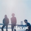 GRAPEVINE