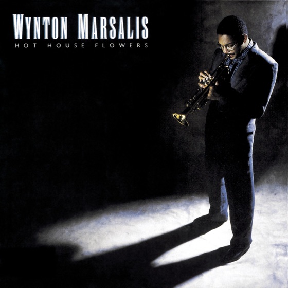 Cover artwork for Stardust
