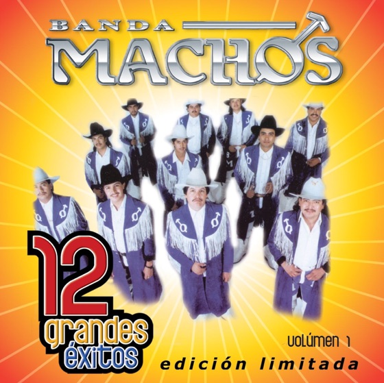 Cover artwork for Mi Chica Ideal