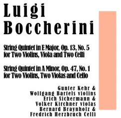 String Quintet in A Minor, Op. 47, No. 1 for Two Violins, Two Violas and Cello: I. Allegro non molto Song Lyrics
