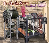 TriBeCaStan - Please Don't Let Me Be Misunderstood