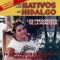 Alma Hidalguense - Trio los Nativos de Hidalgo lyrics