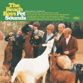 The Beach Boys - I Just Wasn't Made For These Times