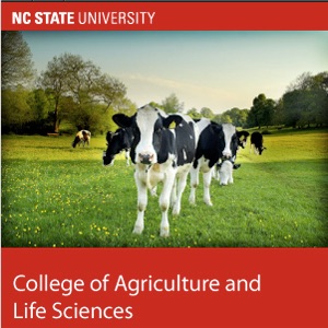 College of Agriculture and Life Sciences cover