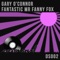 Fantastic Mr Fanny Fox - Gary O'Connor lyrics