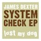 System Check - James Dexter lyrics
