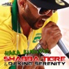Haka kuduro (feat. DJ King Serenity) - Single
