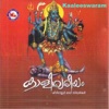 Ressi Pathanapuram - Bhagavathiye Parama