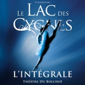 Tchaïkovski : Le Lac des Cygnes (L'intégrale Théâtre du Bolchoï) artwork