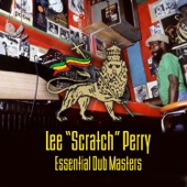 Lee "Scratch" Perry - Conscious Man Dub