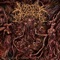 Maggot Infested Fuck Hole - Visceral Disgorge lyrics