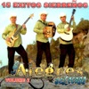 15 Éxitos Sierrenos, Vol. 2