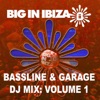 Bassline & Garage: DJ Mix Vol 1, 2009