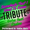Somebody That I Used to Know (A Tribute to Gotye Feat. Kimbra) - Single