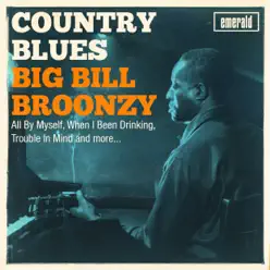 Country Blues - Big Bill Broonzy