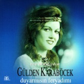 Duyarmısın Feryadımı artwork