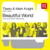 Beautiful World (The Ecstasy Remixes) [feat. Dino] album lyrics, reviews, download