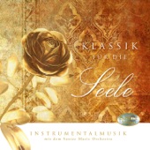 Classics for the Soul, Klassik für die Seele: Classical Music for Relaxing artwork