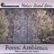 Forest Ambience (Nature Sounds Only Version) - Nature Sound Series lyrics