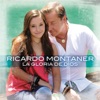 La Gloria de Dios (feat. Evaluna Montaner) [Instrumental Version] - Single, 2012