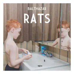 Rats - Balthazar