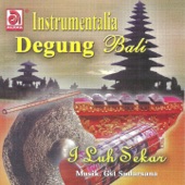 Instrumentalia Degung Bali artwork