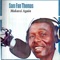 Zimo (To Nelson Mandela) - Sam Fan Thomas lyrics