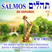 Tehilim Salmos en Español, Vol. 7 artwork