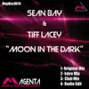 Moon In The Dark - EP album lyrics, reviews, download