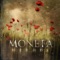 Letters - Moneta lyrics