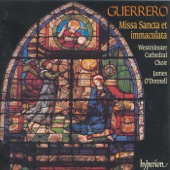 Guerrero: Missa Sancta et immaculata artwork