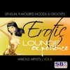 Erotic Lounge Experience Vol. 6, 2012