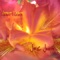 Flying Free - Jon C. Jackson lyrics