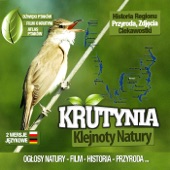 Dzwieki Ptaków Krutyni 9 artwork