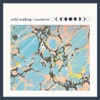 Wild Nothing - Shadow