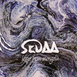 SEDAA - Missing You