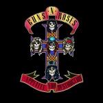 Guns N' Roses - Sweet Child O' Mine