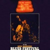 At the New Morning Blues Festival (Live in Geneva '79)