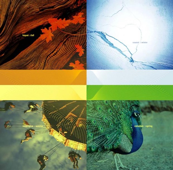 Cover artwork for Ashes