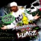 My Opinion (feat. Shock G) - Numskull of the Luniz lyrics