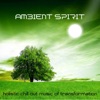 Ambient Spirit (Holistic Chill Out Music Of Transformation)