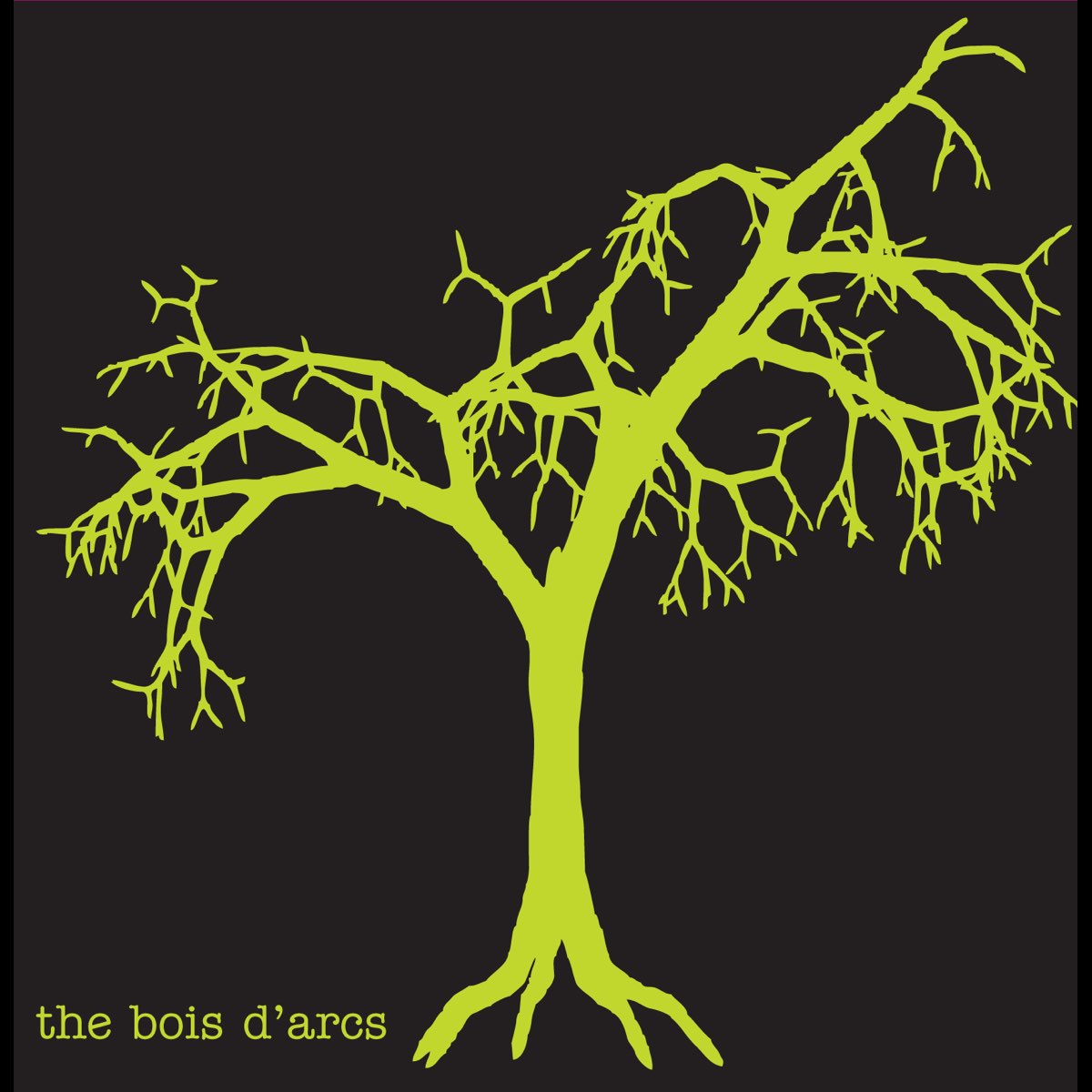 D bois. Bois. Tree album.