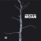 Moan (Radio Slave's Acapella Breakdown Version 2) - Trentemøller lyrics